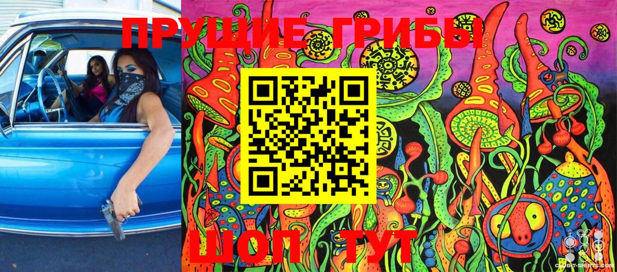 Магнитогорск  Псилоцибиновые грибы Psilocybine cubensis  Вход с VPN 